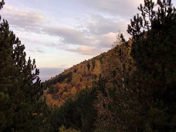 Bitola Mount Bike