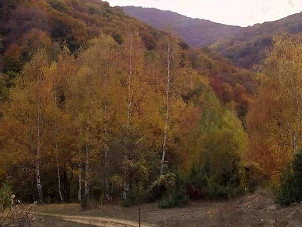 Bitola Mount Bike